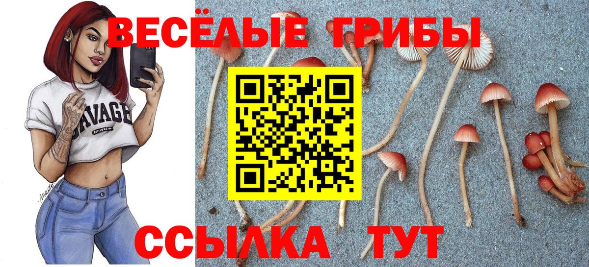 Бор  Псилоцибиновые грибы ЛСД  Вход с VPN 